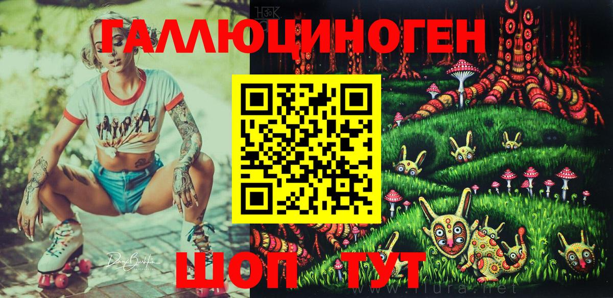 Галлюциногенные грибы Psilocybe Красноармейск